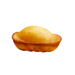Petites Madeleines 1kg