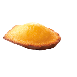 Madeleines nappées chocolat...